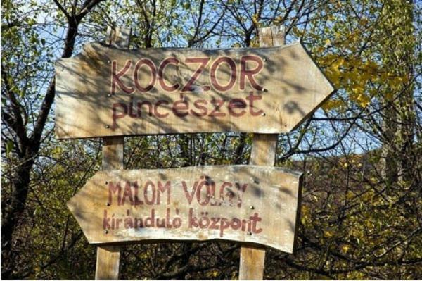 Koczor Winery & Guesthouse Balatonfüred Extérieur photo