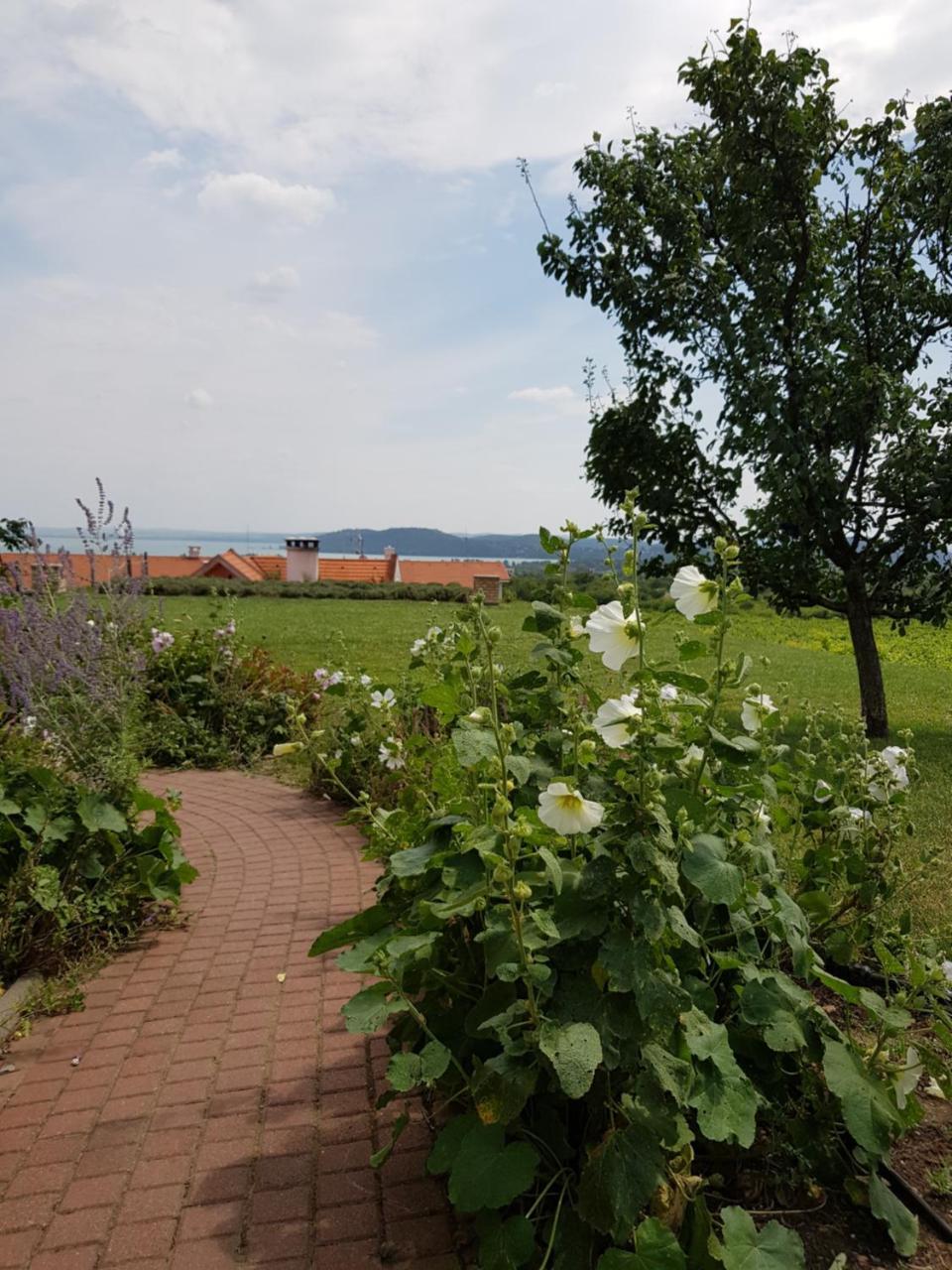 Koczor Winery & Guesthouse Balatonfüred Extérieur photo